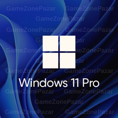  Windows 11 Pro Key + Garanti